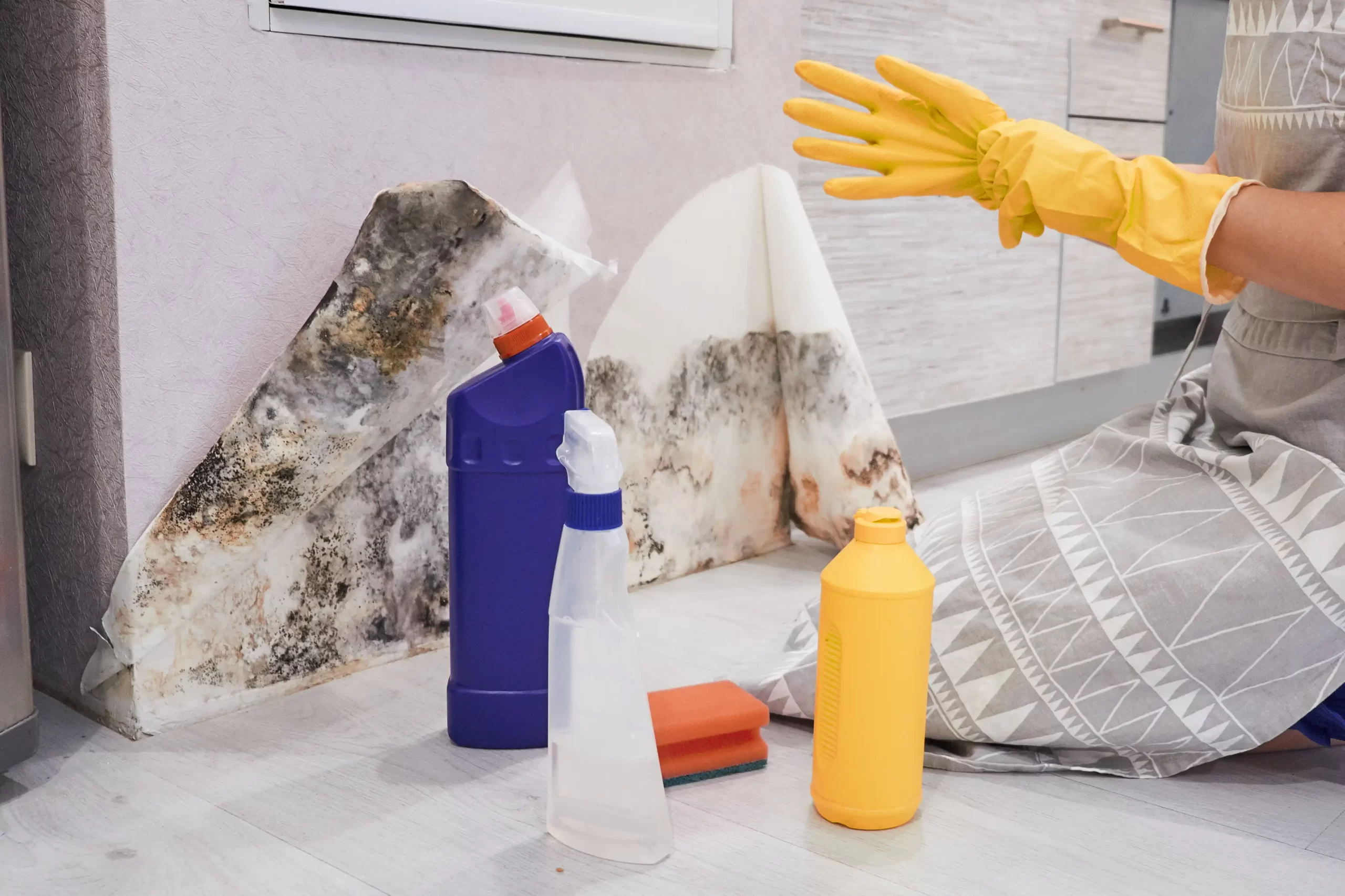 A person in yellow gloves stands by a wall with peeling wallpaper, holding cleaning supplies, keen to prevent mold growth.